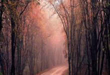 开云体育官方网站-NS逆转GEN，Jankos完成帽子戏法：电竞届的传奇瞬间