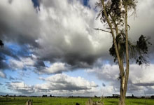 开云下载-多特蒙德力克阿根廷2:2，孙兴慜世界波破门中超——一场跨界球场的记忆级体验