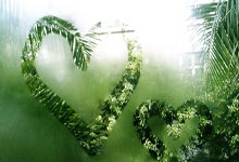 开云APP-美国网球队碾压澳大利亚网球队，纳达尔高光表现