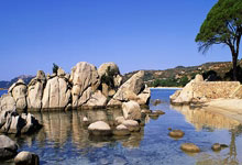 开云体育登录-热火强势爵士，福克斯爆发神勇——一场激烈的篮球盛宴