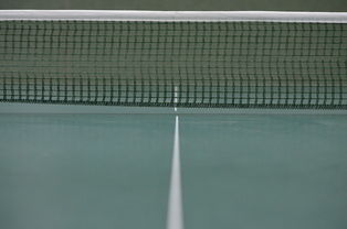 开云平台-中国乒乓球队爆冷瑞典乒乓球队，樊振东爆发神勇