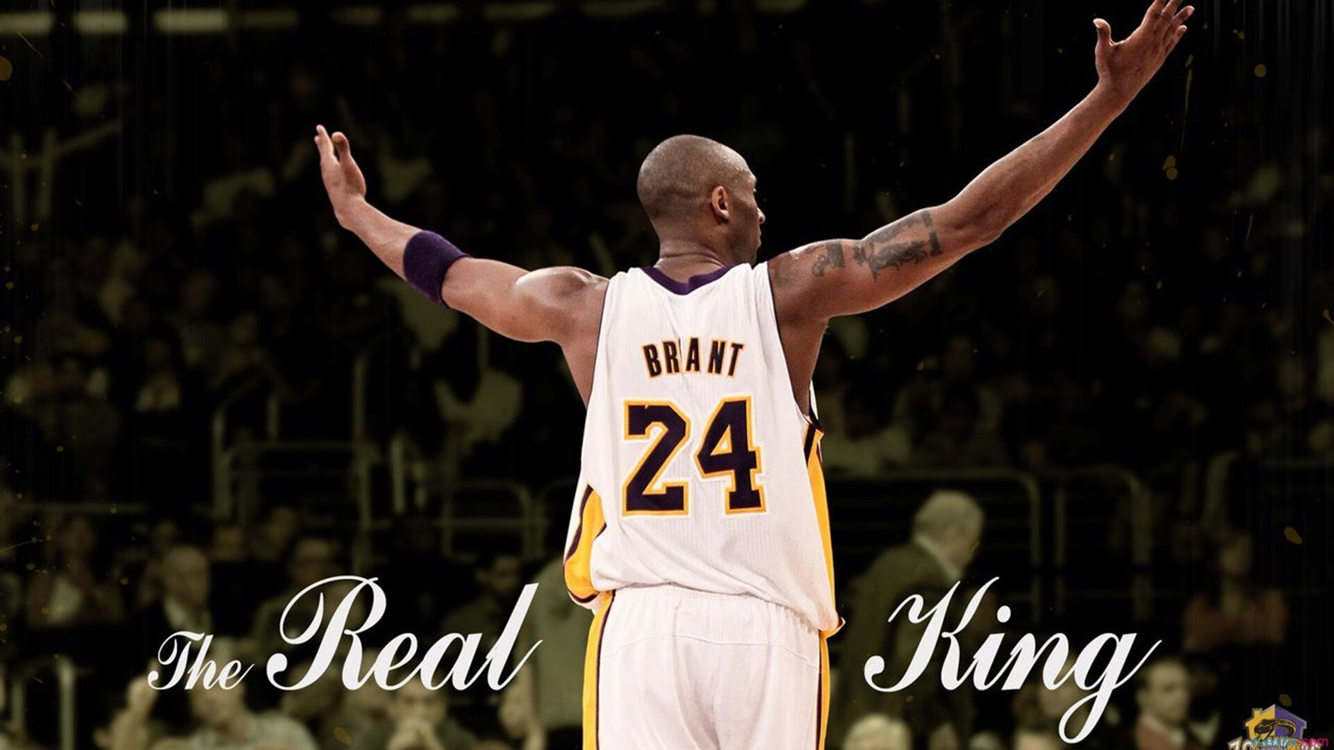 霓虹赛道上的涅槃，布伦森如何在新加坡的夜色中完成自我救赎